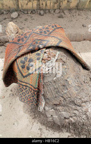 Tessuto in fibra di plastica mat impostato su un secco Palm tree moncone posizionato accanto a una staccionata in legno di una casa cittadina come per dare una certa protezione. Isola Diogue Foto Stock