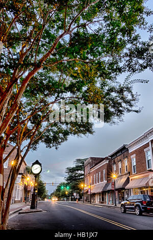 York South Carolina white rose city Foto Stock