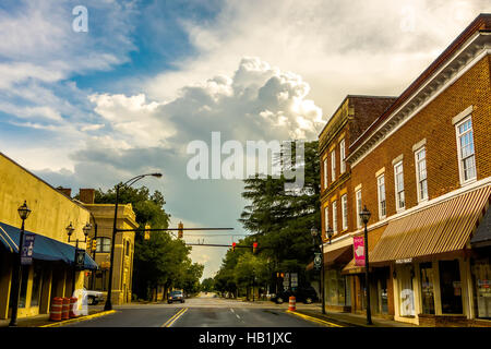 York South Carolina white rose city Foto Stock