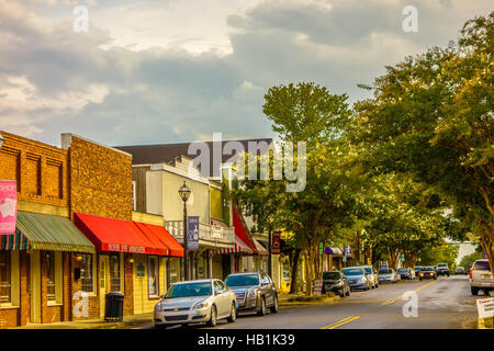 York South Carolina white rose city Foto Stock