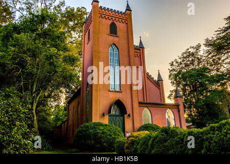 York South Carolina white rose city Foto Stock