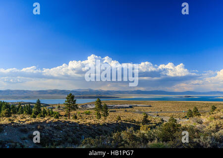 Mono Lago è un grande e poco profondo di soda salina lago in Mono County, California, formata almeno 760,000 anni fa come un terminale lago in un bacino endoreico. Foto Stock