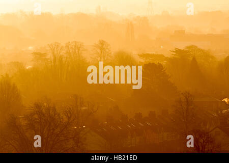 Il torneo di Wimbledon, Londra, Regno Unito. 4° dic, 2016. Tetti di Wimbledon bagnata in autunno nebuloso sunshine Credito: amer ghazzal/Alamy Live News Foto Stock