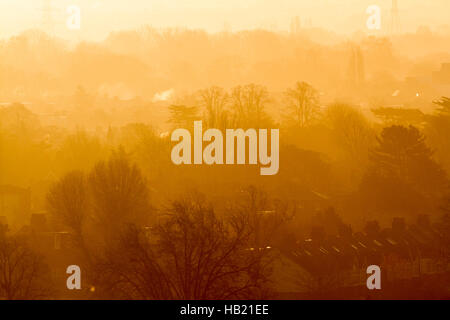 Il torneo di Wimbledon, Londra, Regno Unito. 4° dic, 2016. Tetti di Wimbledon bagnata in autunno nebuloso sunshine Credito: amer ghazzal/Alamy Live News Foto Stock