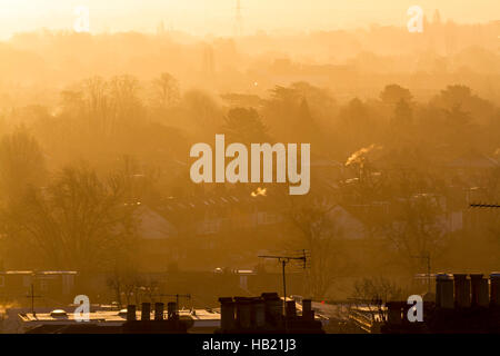 Il torneo di Wimbledon, Londra, Regno Unito. 4° dic, 2016. Tetti di Wimbledon bagnata in autunno nebuloso sunshine Credito: amer ghazzal/Alamy Live News Foto Stock