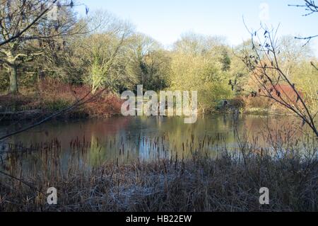 Bracknell, Regno Unito. 4 dicembre, 2016. Firshermen prendendo parte a un concorso su un lago ghiacciato a Westmorland Park, Bracknell Credito: Andrew Spiers/Alamy Live News Foto Stock