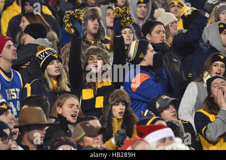 Morgantown, West Virginia, USA. 3 dicembre, 2016. Ventole WVU celebrare in stand durante una partita giocata al campo alpinista a Morgantown WV. WVU beat Baylor 24-21. © Ken Inness/ZUMA filo/Alamy Live News Foto Stock