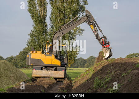 Agricoltura shredded mais da insilato Foto Stock