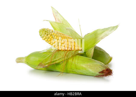 Due mais dolce, isolato su bianco. Foto Stock