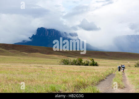 MT RORAIMA,VENEZUELA, marzo 31: vista posteriore del gruppo europeo dei turisti a piedi con gli zaini sul modo per Kukenan e Roraima tepui - Venezuela 201 Foto Stock