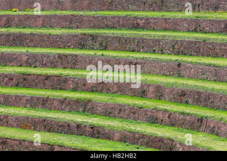 Round terrazzamenti agricoli degli Inca nella Valle Sacra, Perù Foto Stock