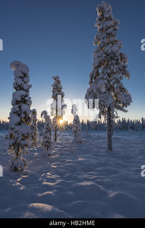 Paesaggio invernale, Lapponia, Svezia Foto Stock