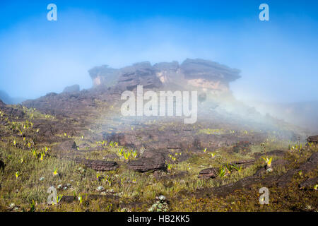 Vista surreale sulla sommità del monte Roraima con rainbow Foto Stock