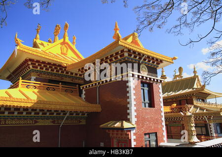 Thrangu Tashi Yangtse Moastery Foto Stock