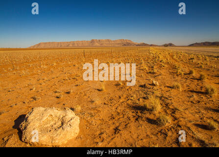 Dalla mattina presto un calore haze distorce le montagne distanti nel Deserto Namibiano. Foto Stock