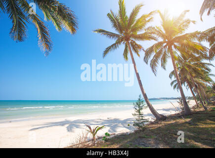Spiaggia tropicale e palme di cocco Foto Stock