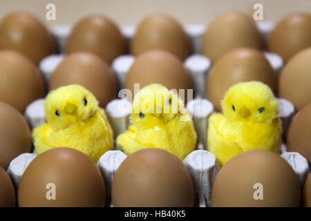 Tre polli giocattolo tra le uova in imballaggi Foto Stock