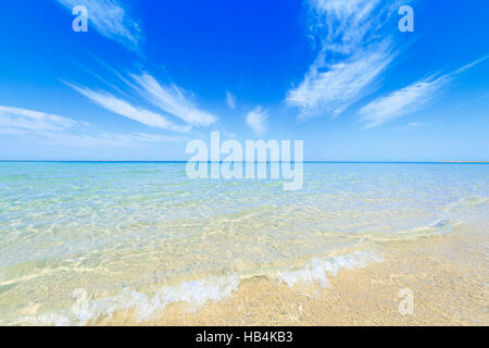 Spiaggia di scheletro Shark vivaio in Coral Bay, Australia occidentale Foto Stock