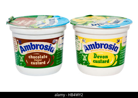 Pentole di Ambrosia cioccolato e crema pasticcera Devon Foto Stock