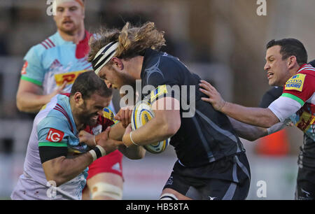 Newcastle Falcons Evan Olmstead spinge fuori arlecchini Jamie Roberts (sinistra) e Karl Dickson (a destra) durante la Aviva Premiership corrispondono a Kingston Park, Newcastle. Foto Stock