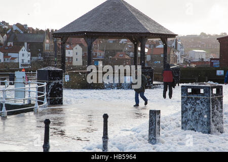 Gomma piuma del mare di Whitby Foto Stock