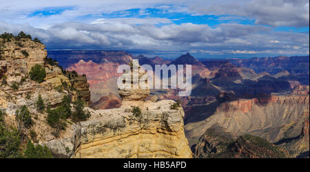 Duck su una formazione di roccia, del Grand Canyon South Rim, Arizona, Stati Uniti Foto Stock