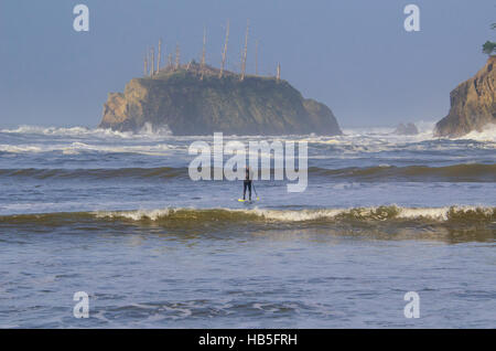 Lone paddle boarder sfidando le onde al tramonto Bay in Oregon Foto Stock