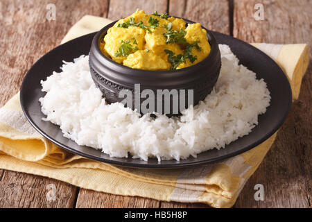 Chicken Korma su un poco speziato salsa cremosa di close-up. Cucina indiana. Posizione orizzontale Foto Stock