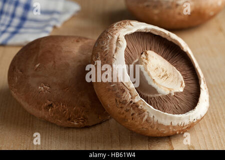 Fresche materie organiche di funghi champignon Foto Stock