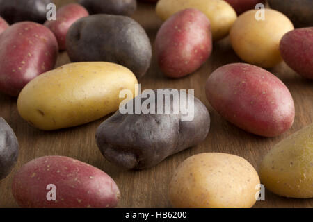 Varietà di freschi Patate diverse Foto Stock