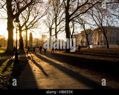 Lunghe ombre nel parco verde con Buckingham Palace Foto Stock