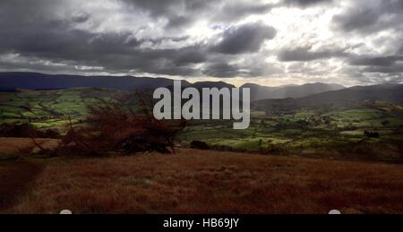 Sunllight sul Matterdale Fells Foto Stock