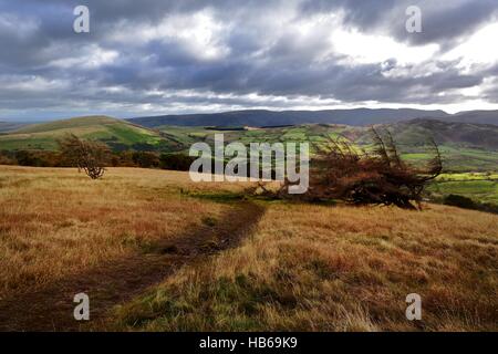 Sunllight sul Matterdale Fells Foto Stock