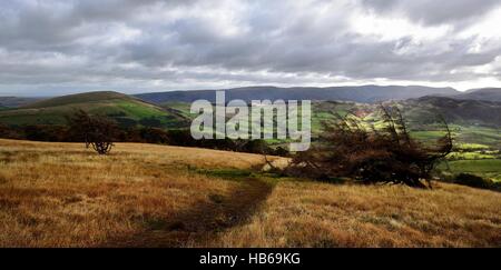 Sunllight sul Matterdale Fells Foto Stock