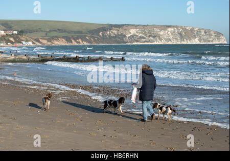 Dog friendly spiagge a Swanage Foto Stock