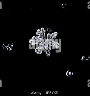 Fiocchi di neve naturale, photo real fiocchi di neve durante una nevicata, in condizioni naturali a bassa temperatura Foto Stock