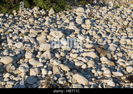 Erosione da Ballard Cliff, Swanage, Dorset Foto Stock