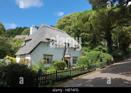 Cottage con il tetto di paglia a St Lawrence sull'Isola di Wight Foto Stock