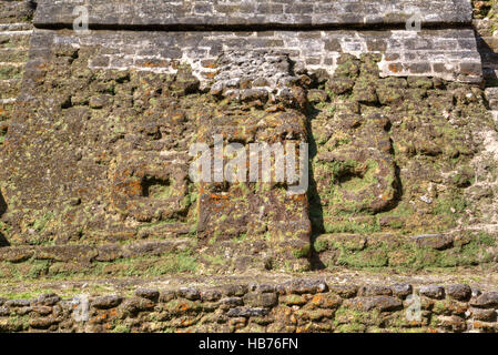 Maschera di stucco, il Tempio alta, Lamanai Sito Maya, Belize Foto Stock