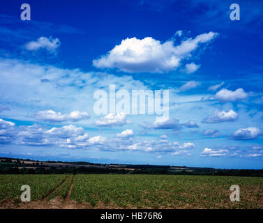 Vista attraverso un paesaggio agricolo Castle Acre Village Norfolk Inghilterra Foto Stock