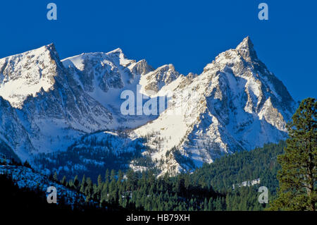 Trapper picco nella Bitterroot Mountains vicino conner, montana Foto Stock