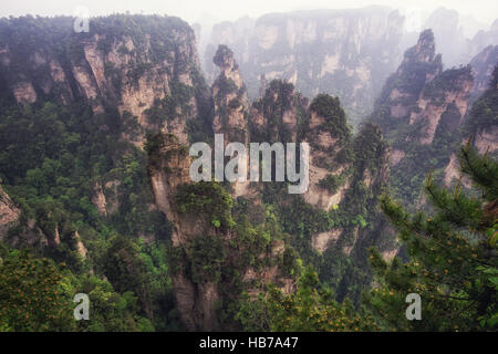 Alti picchi di montagna di yuanjiajie Foto Stock