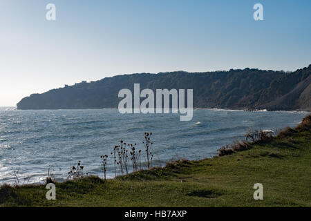 Testa Durlston, Swanage, Dorset Foto Stock