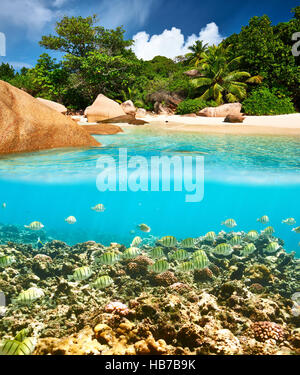 Scogliera di corallo e pesce a Seychelles Foto Stock