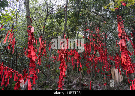 Nastri di rosso lungo tianmen mountain Foto Stock