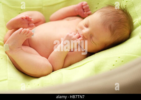 Una settimana di età neonato Foto Stock