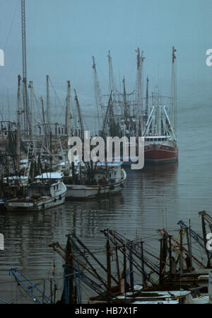 Gamberi e Oyster barche per la cattura di wild pesce Foto Stock