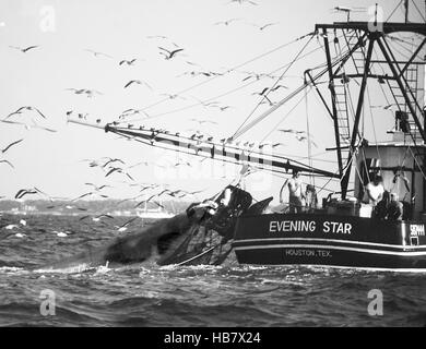 Gamberi e Oyster barche per la cattura di wild pesce Foto Stock