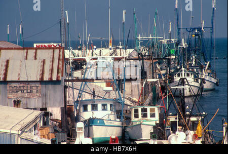 Gamberi e Oyster barche per la cattura di wild pesce Foto Stock