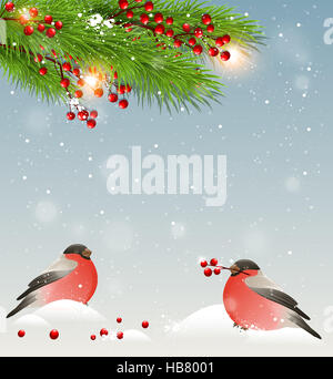 Paesaggio invernale con due bullfinches in snow, verde abete rami e bacche rosse. Sfondo di natale. Foto Stock